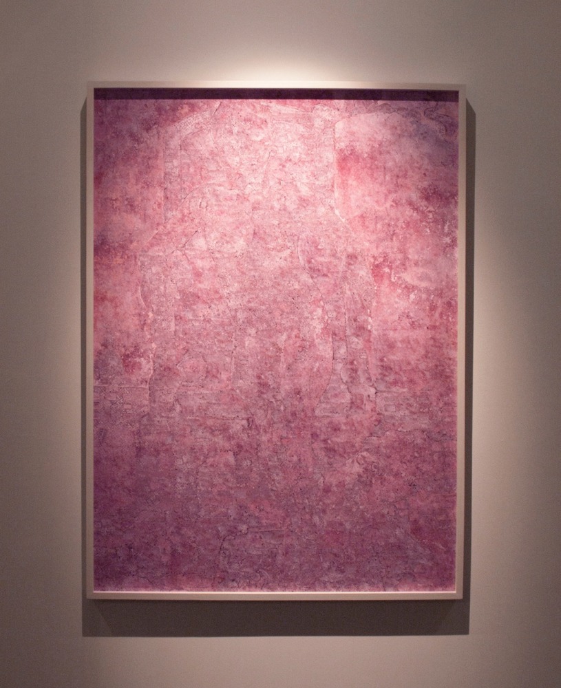 Chinaberry (jdth), 2010
C-Print
55″ x 40″