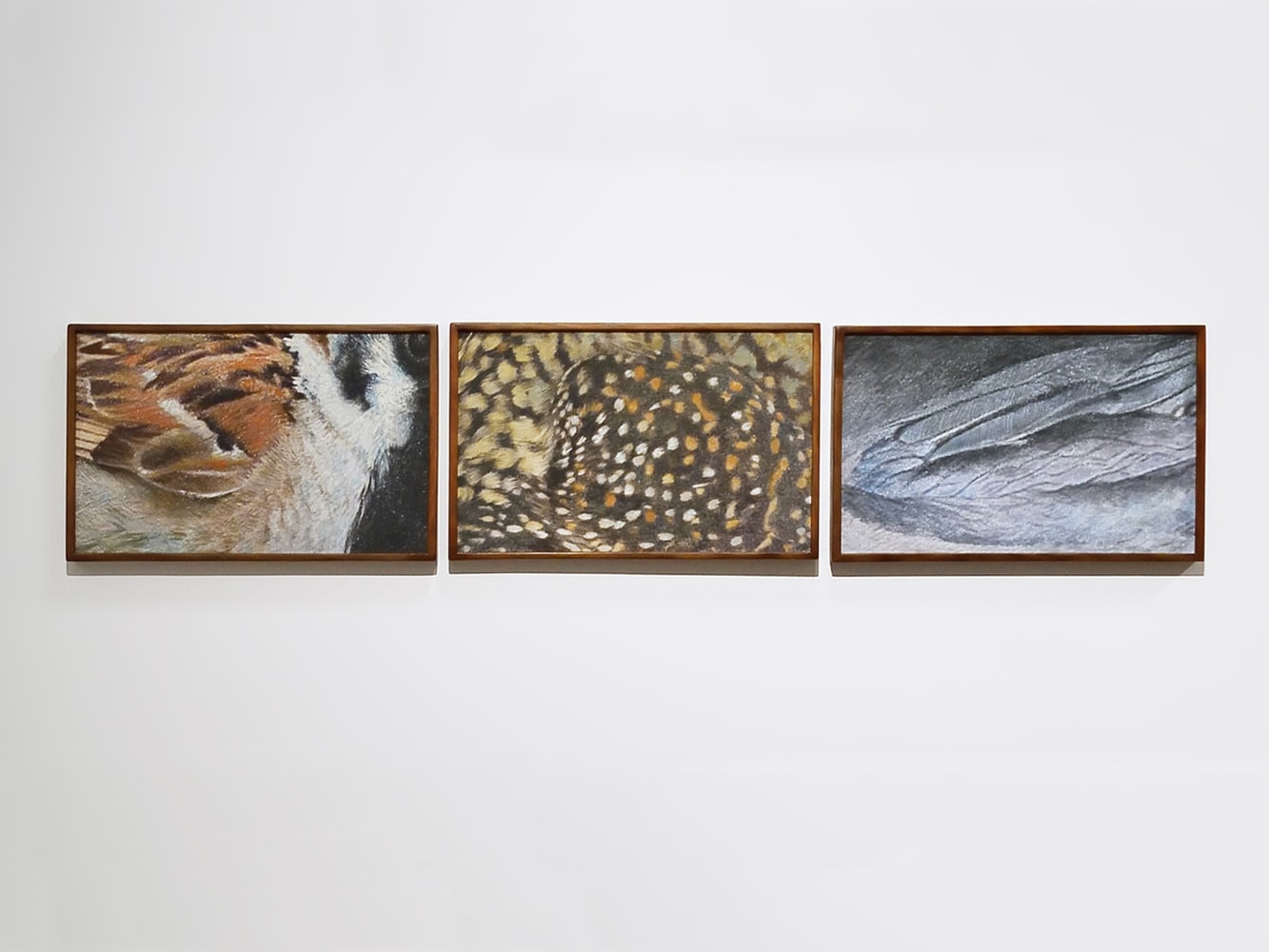 Untitled, 2018-19
Acrylic and pigments on wood
12 3/8” x 19 1/2” (each of 3) / 12 3/8” x 59 3/4” (overall)