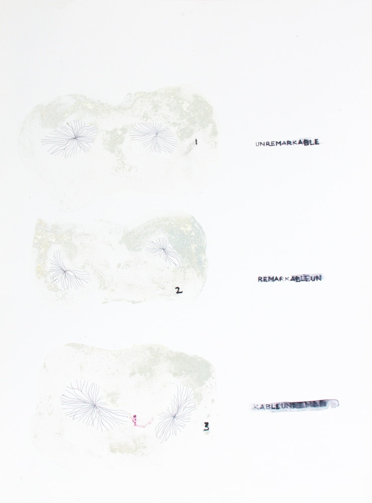 Remarkable Unremarkable (Detail)