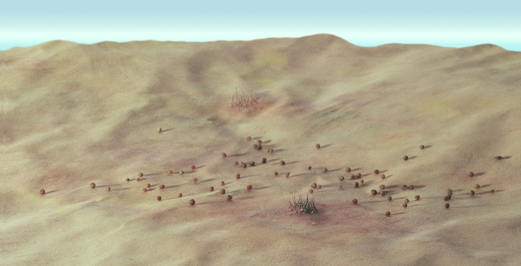 there is no here; it has been erased, trodden over by the down trodden, their feet carrying them ever further, to great, more beguiling promises, 2001

C Print on Aluminum

23 1/2&amp;quot; x 46 1/2&amp;quot;