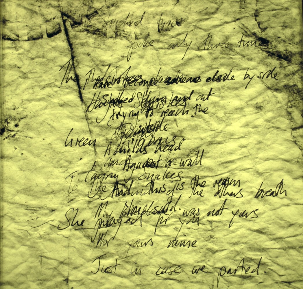 Alia Syed
1001 - Excavation Number 1 (Detail)