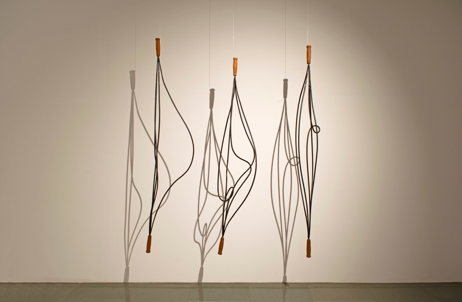 Ranjani Shettar
Kinetics | 2009
Wrought iron and teak wood
50″ x 111″ x 18″
TG 2357