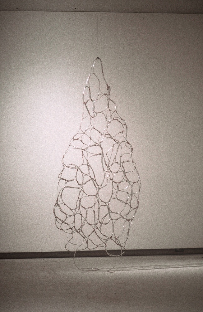 Flow Into Me,&amp;nbsp;2000

PVC pipe, steel wire

42&amp;quot; x 96&amp;quot; x 18&amp;quot;