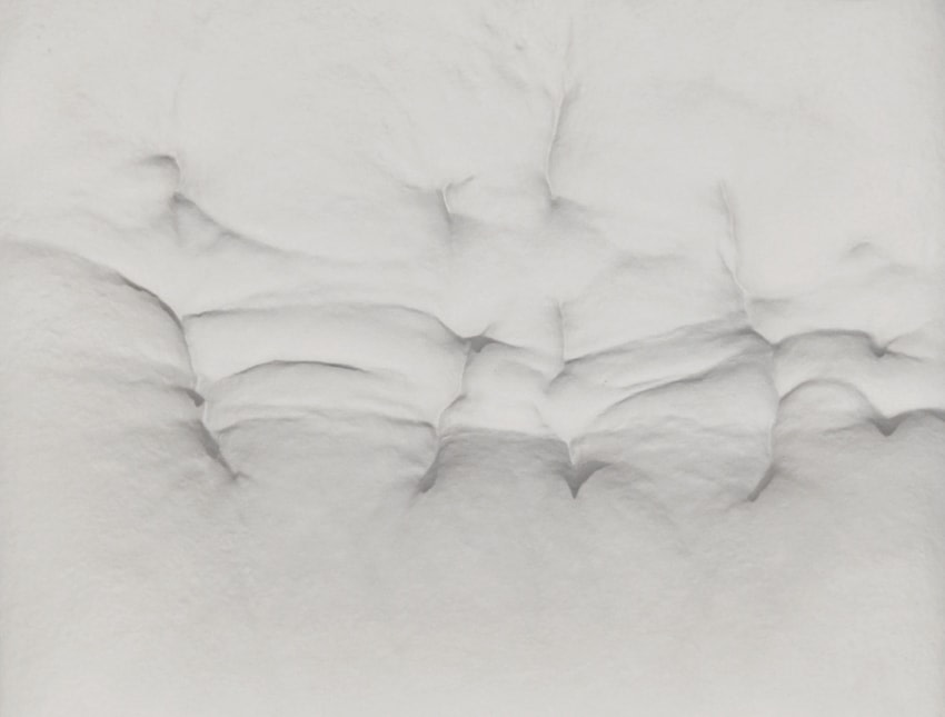 Rise, 2013 (Detail)
