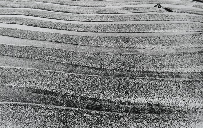 Untitled, ca. 1975
Black and white photograph
9.4″ x 15″