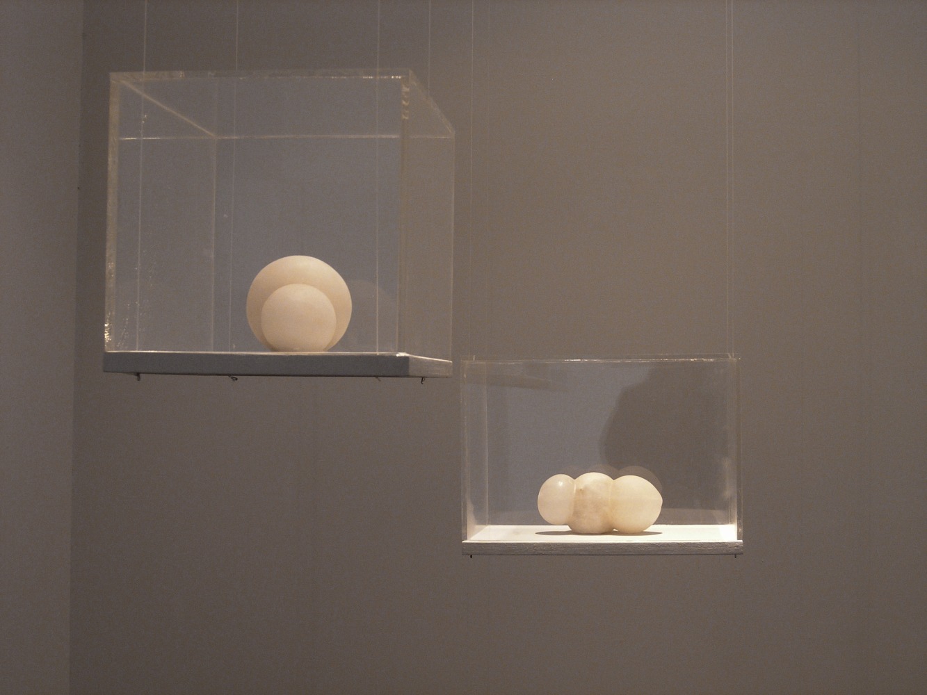 Emerging Angels, 2004