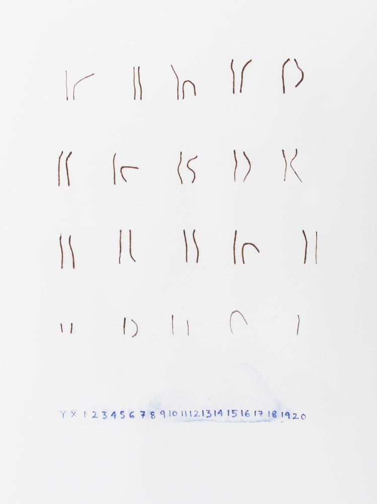 But My Genes Are Fine, 2015
Watercolor pencil on paper
12.13" x 9"