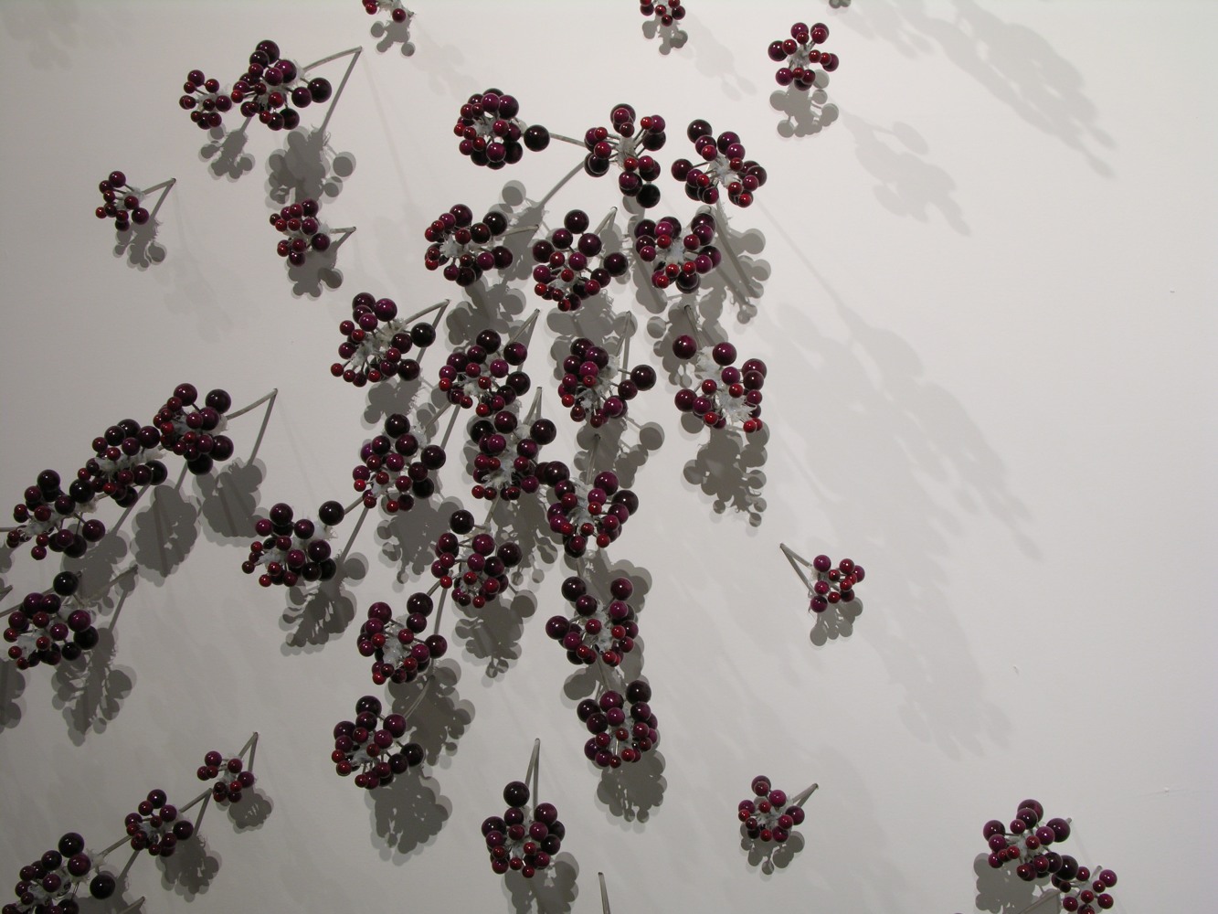 Ranjani Shettar
MAYA (Detail)