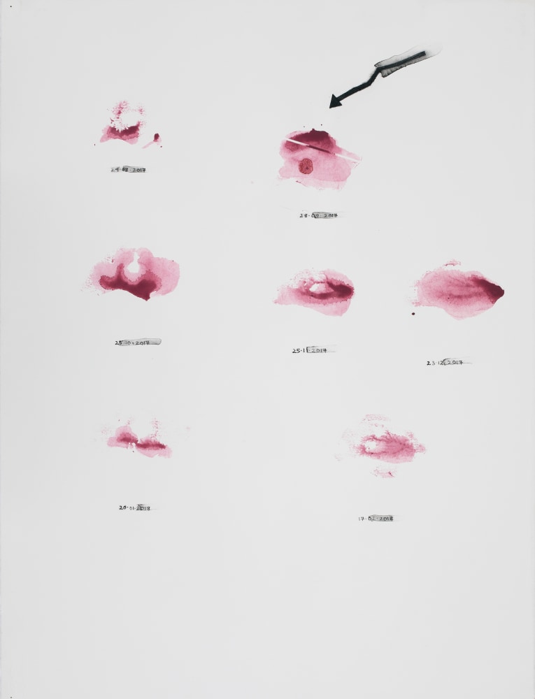 Samples, 2018
Watercolor pencil on paper
32 3/4" x 25 1/2"