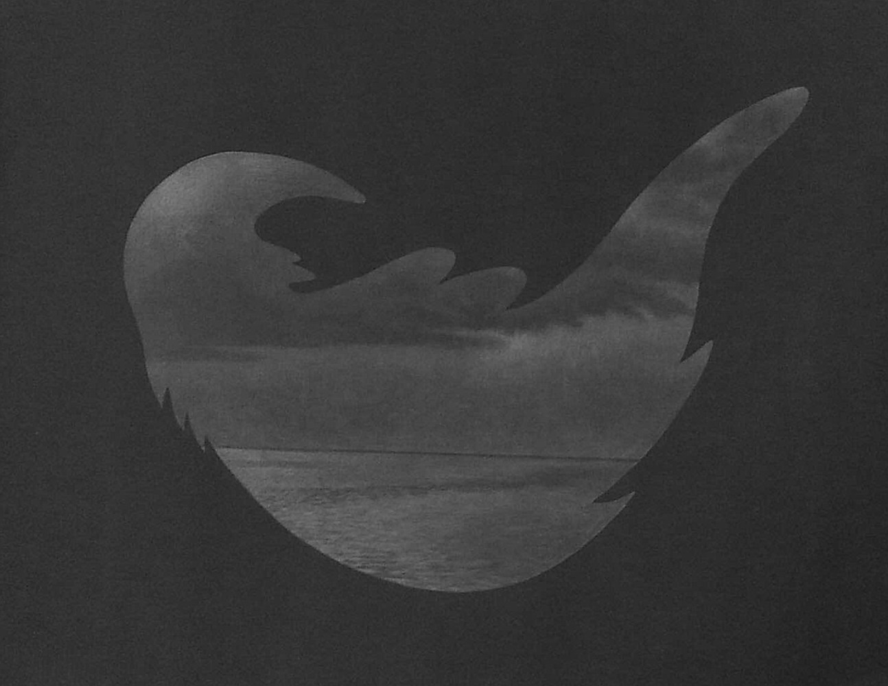 Night, 2016
Graphite on Paper
51 1/4" x 41 1/4"