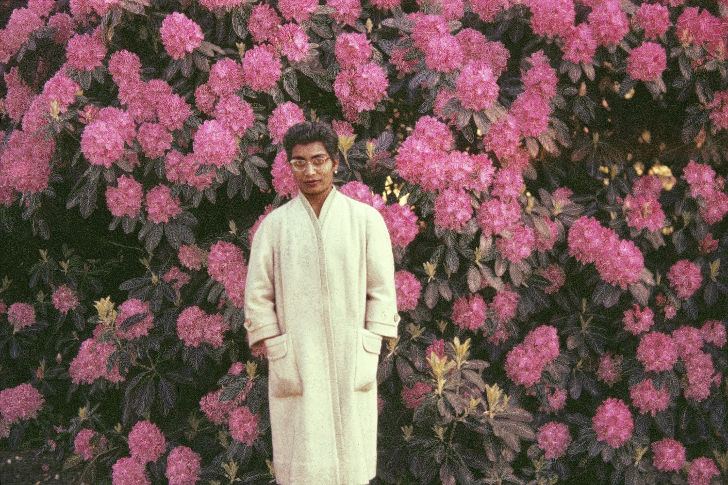 Blossom,&amp;nbsp;2004
C Print
40&amp;Prime; x 60&amp;Prime;
TG 1809