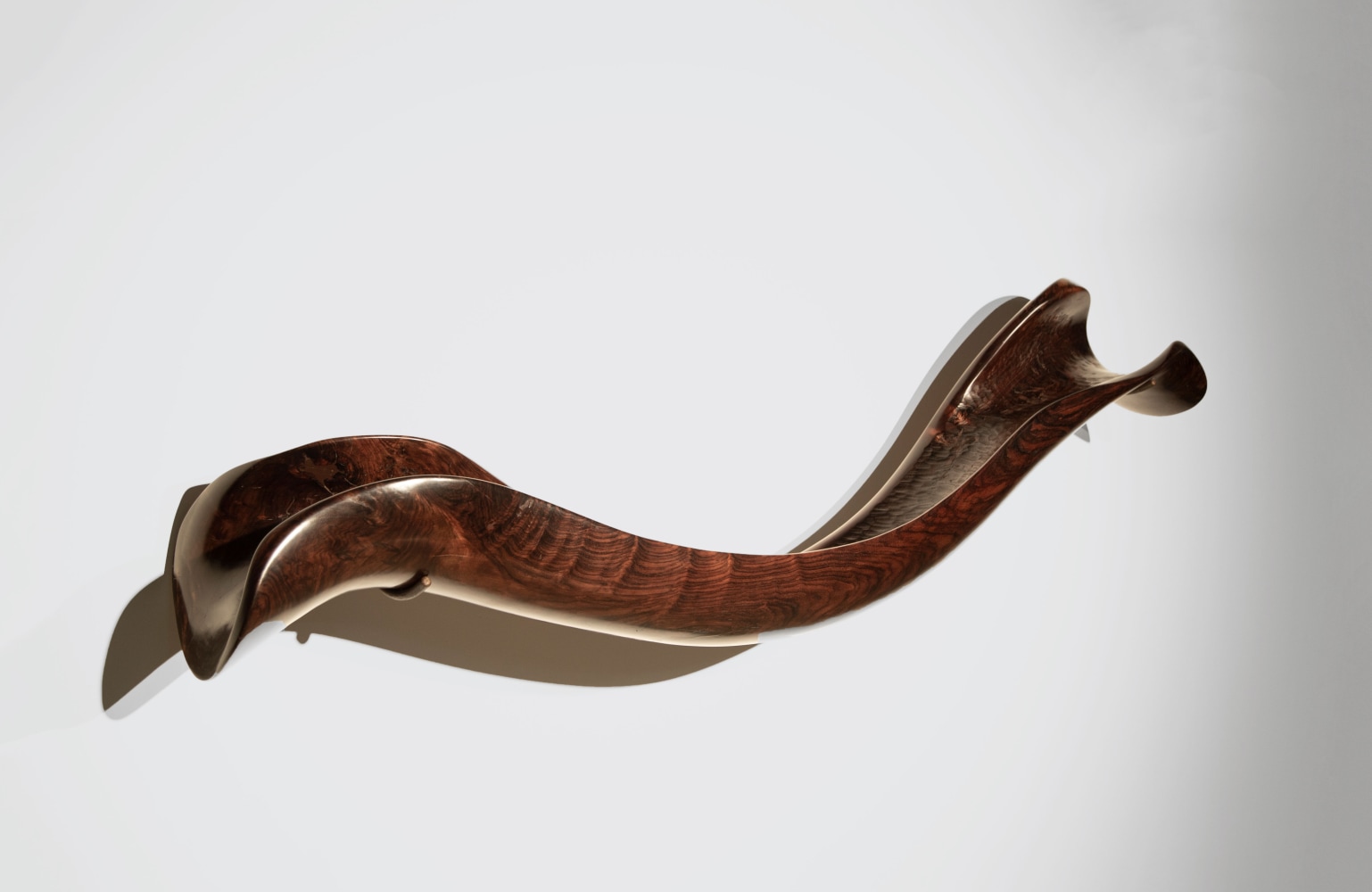 Elegy, 2021
Rosewood
28" x 88" x 16"
TG# 4359