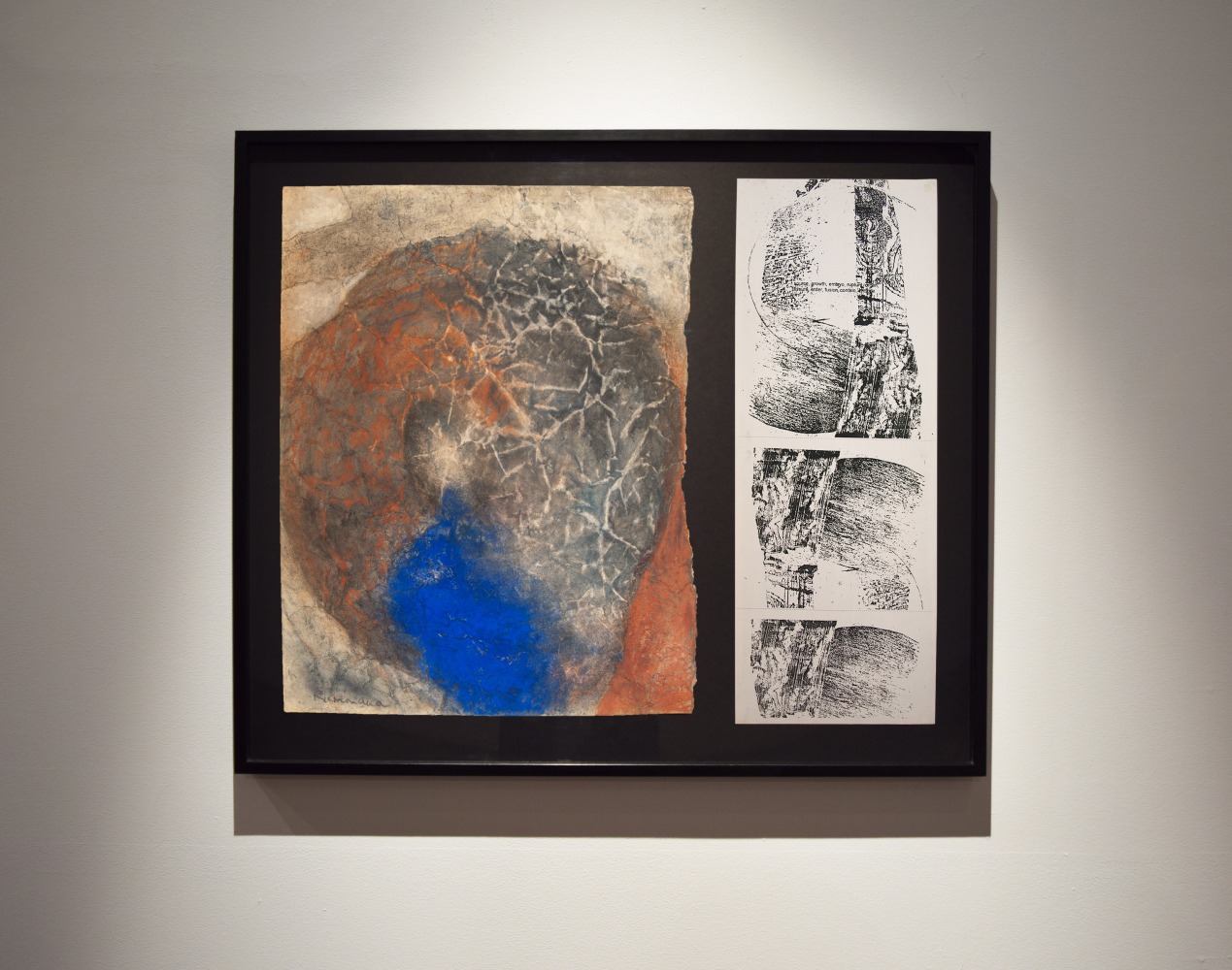 Dissemination, 1993

Indigo and earth pigment, ink, charcoal and print on paper

26 3/4&amp;quot; x 31 1/2&amp;rdquo;