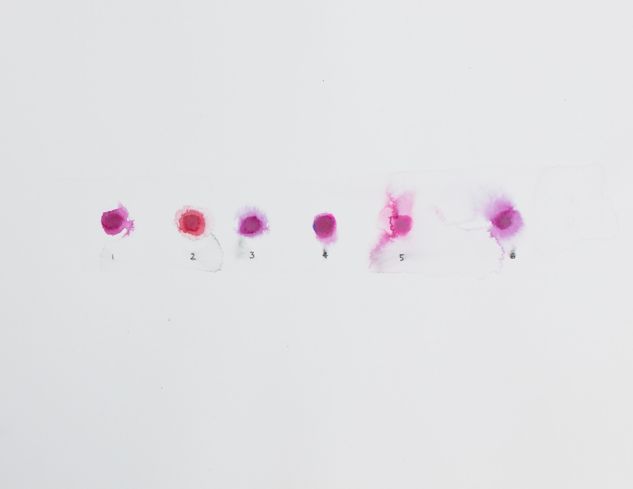 Bleed Bled Blood Red (Detail)