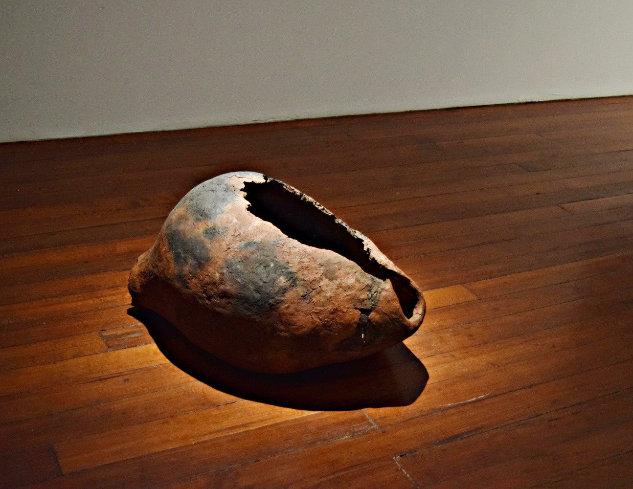 Shell as body, 2015-16