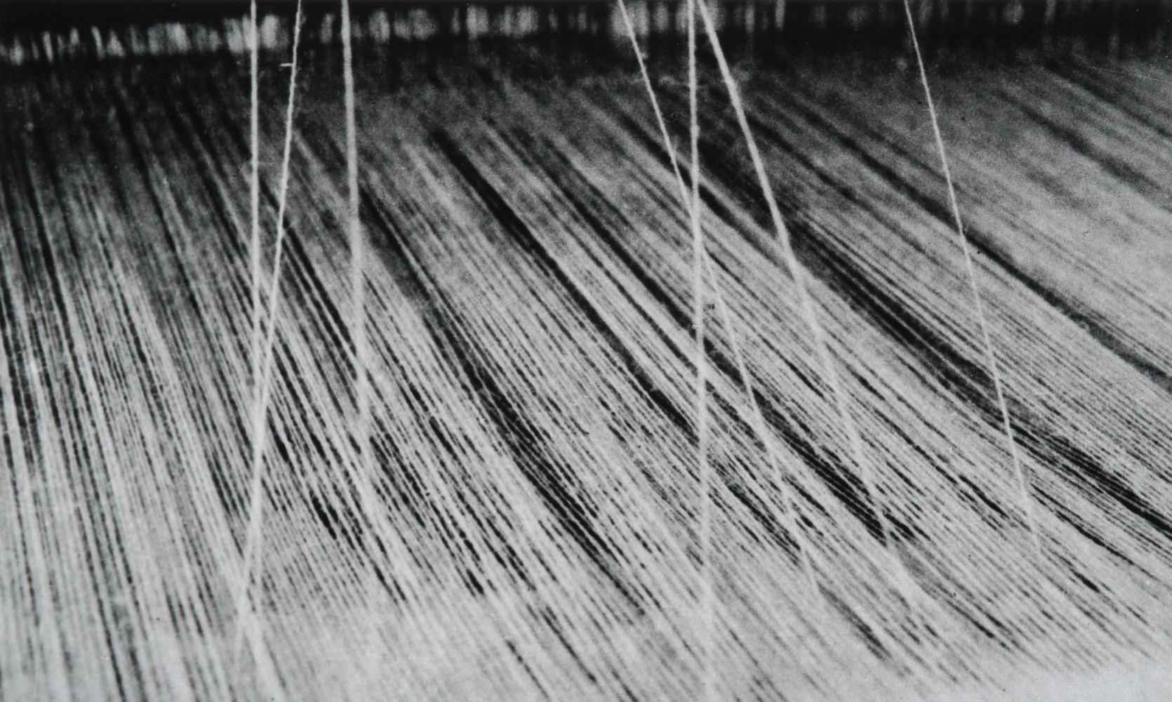 Untitled | ca. 1970
Black and white photograph
9" x 15" | Framed: 16" x 22"
TG 2622