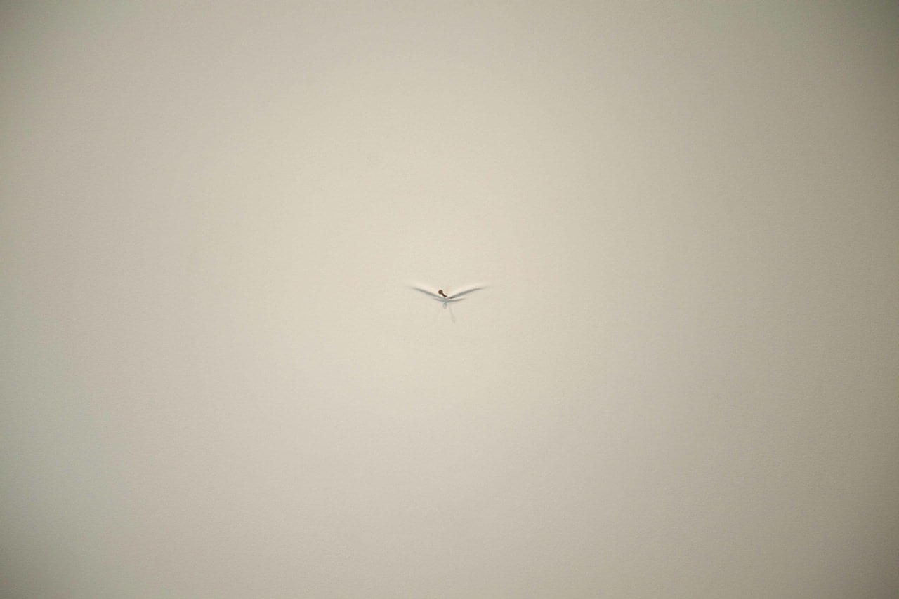 Untitled,&amp;nbsp;2011
Fiberglass, nails, wood, and acrylic
11&amp;quot; x 11&amp;quot; x 2&amp;rdquo; (Each of 3)