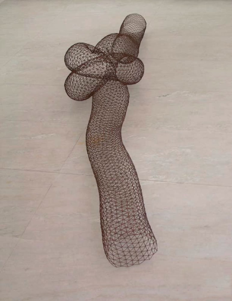 Knot, 2010
Iron
142" x 28" x 18 1/2"