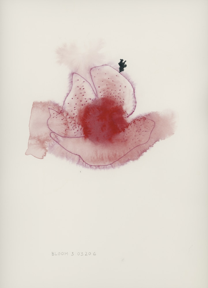 Bloom, 2016
Watercolor on paper
18.75” x 14.75”
TG 4919