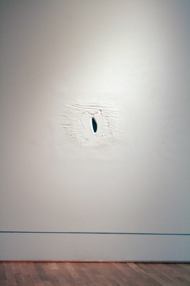 Wound,&amp;nbsp;2010
Fiberglass, wood, and acrylic
26.5&amp;quot; x 32&amp;quot; x 4&amp;rdquo;