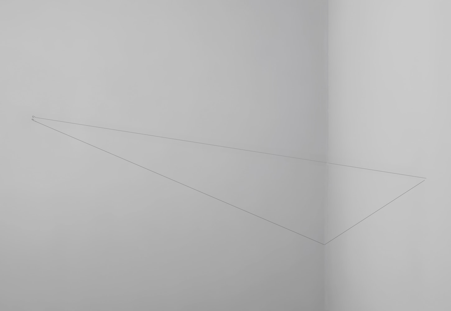 Link,&amp;nbsp;2009

String, Fishing hook, and Magnet

Dimensions Variable