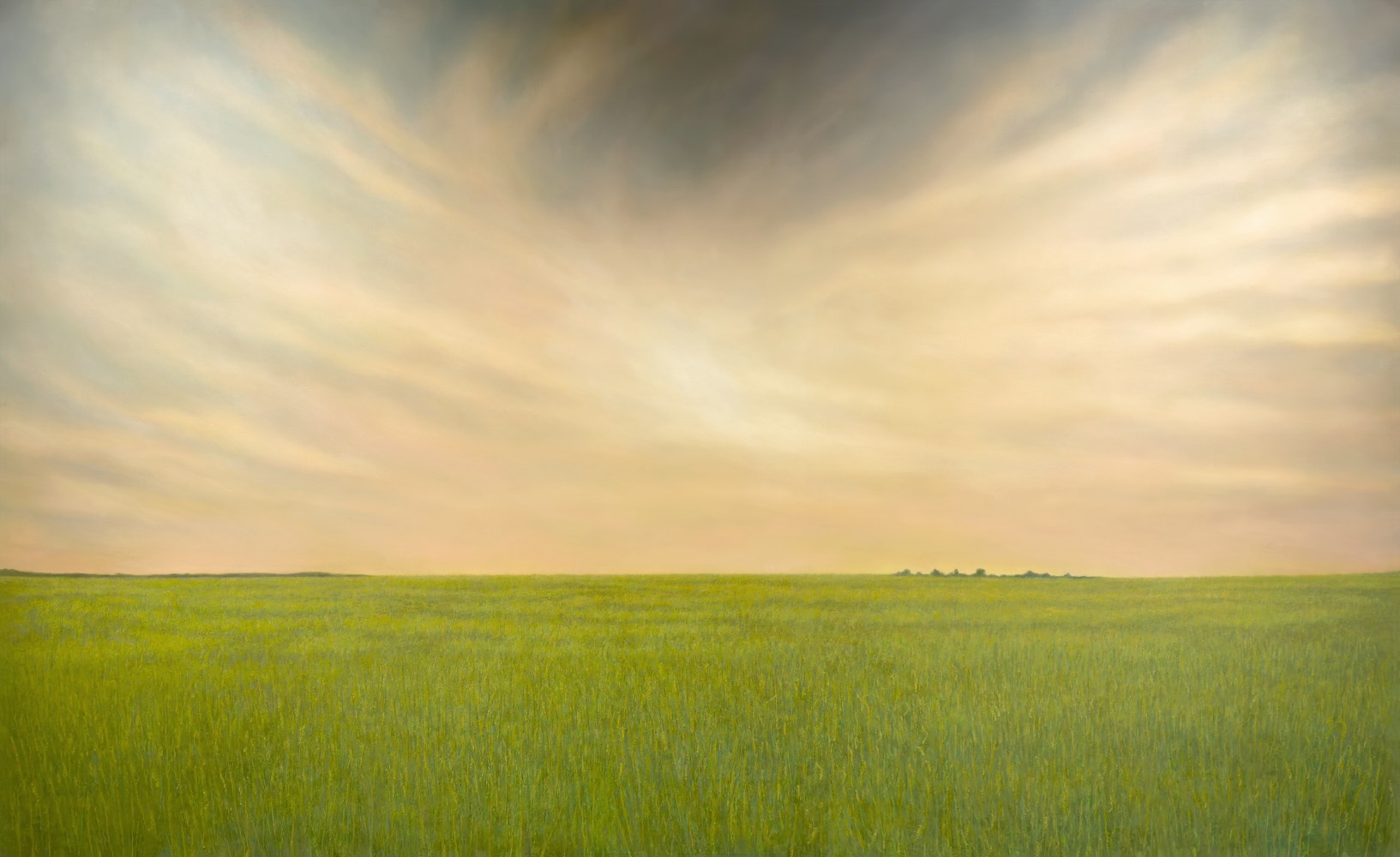 Untitled&amp;nbsp;| 2022
Oil on canvas
75&amp;quot; x 122&amp;quot;
TG 4558