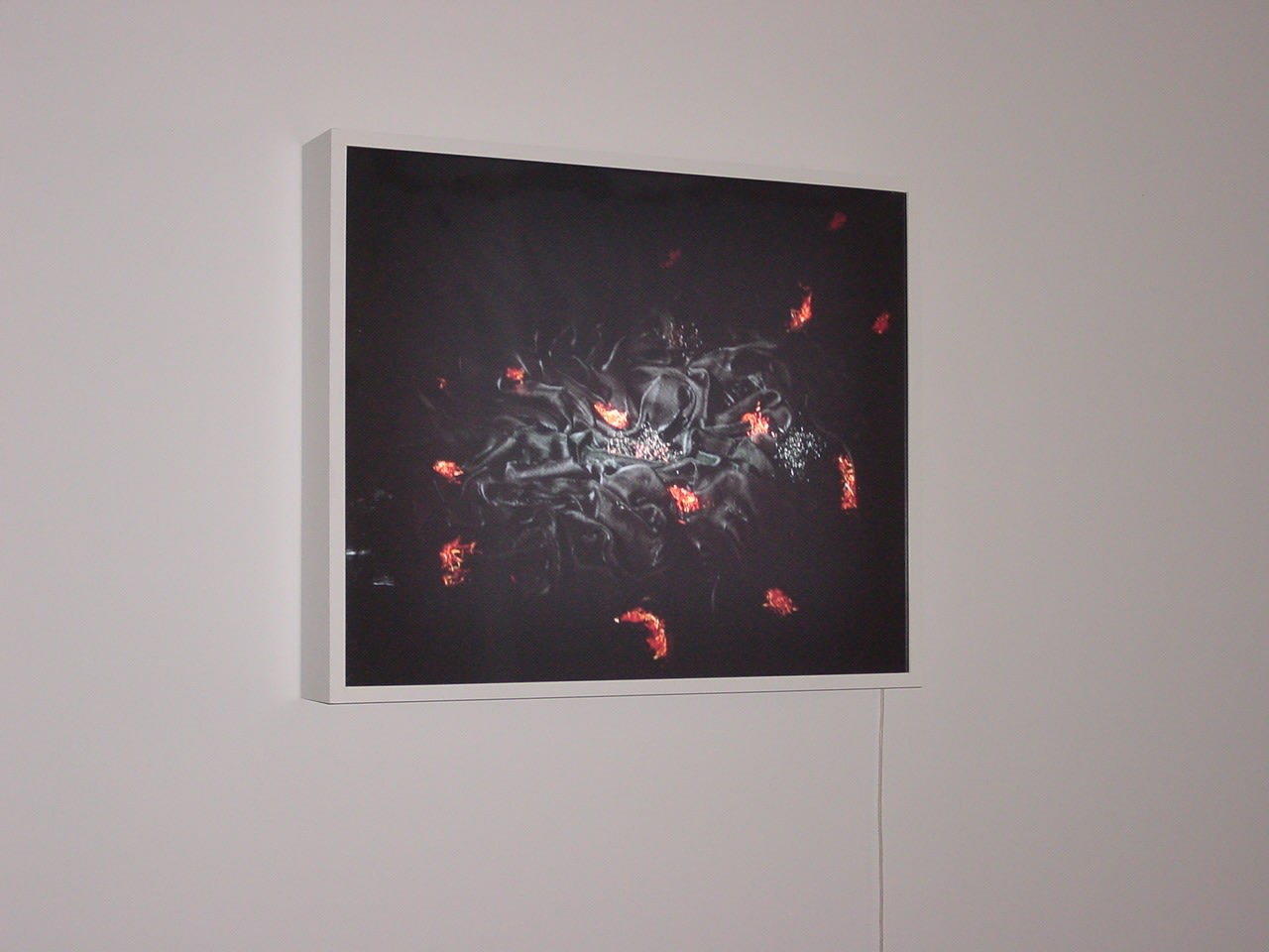 Zarina Bhimji
HARSH PUBIC HAIR, 1998
Lightbox
33" x 40"