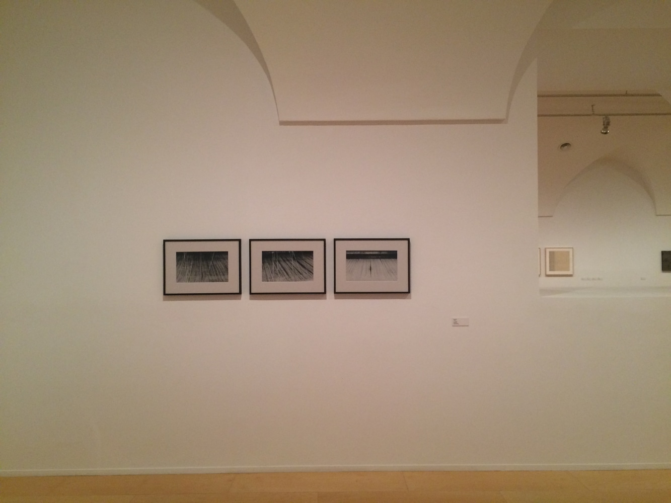 Exhibition View