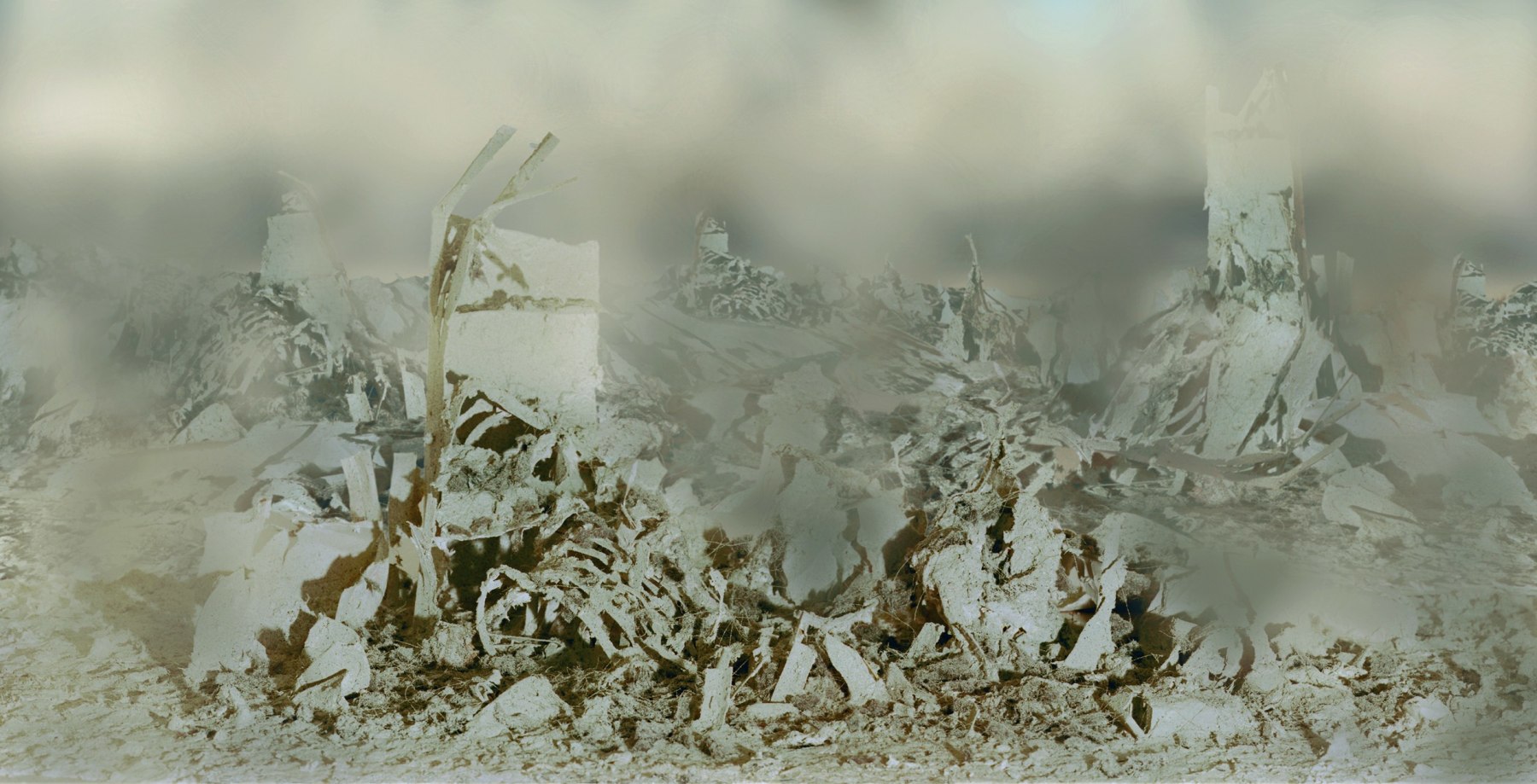 the camera turned against him, 2001

C Print on Aluminum

23 1/2&amp;quot; x 47&amp;quot;