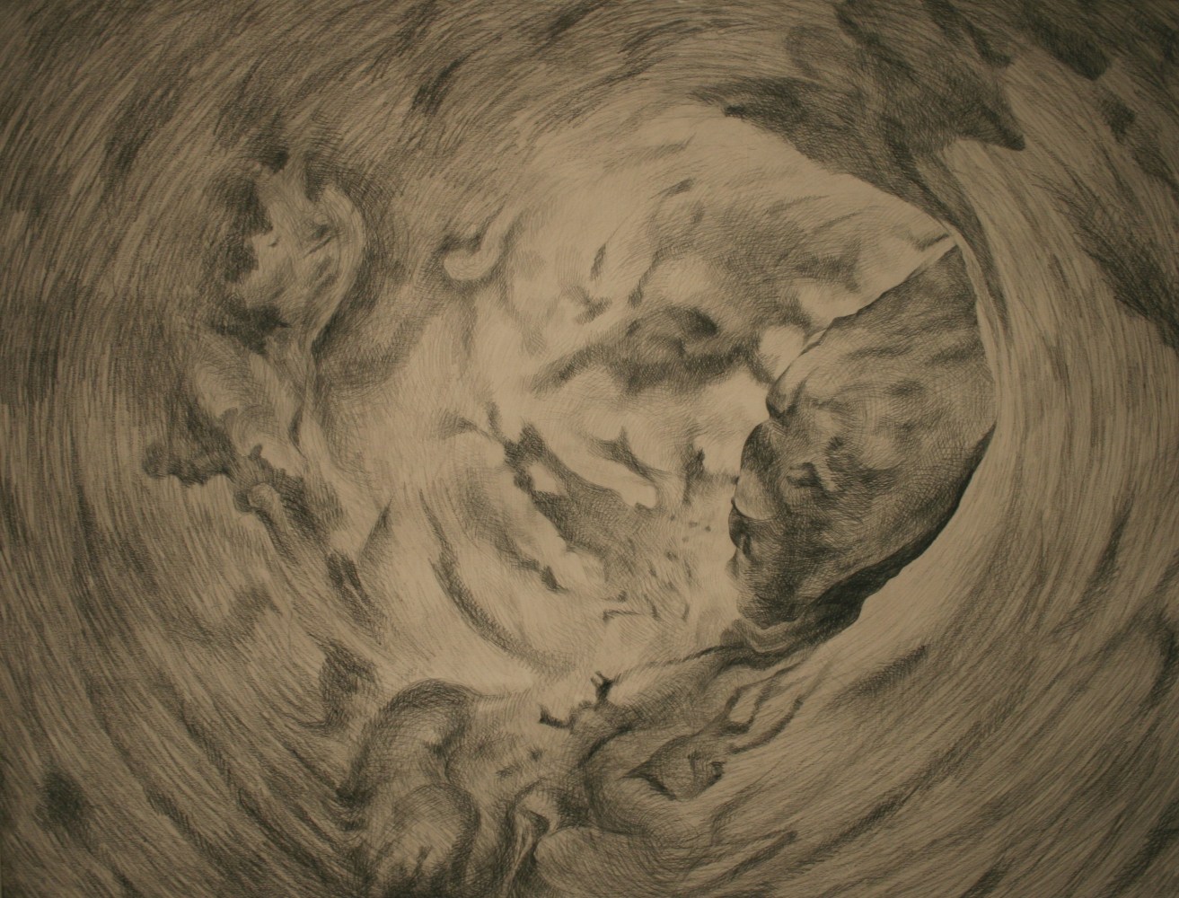 The Tree Inside, 2006-2007
&amp;nbsp;