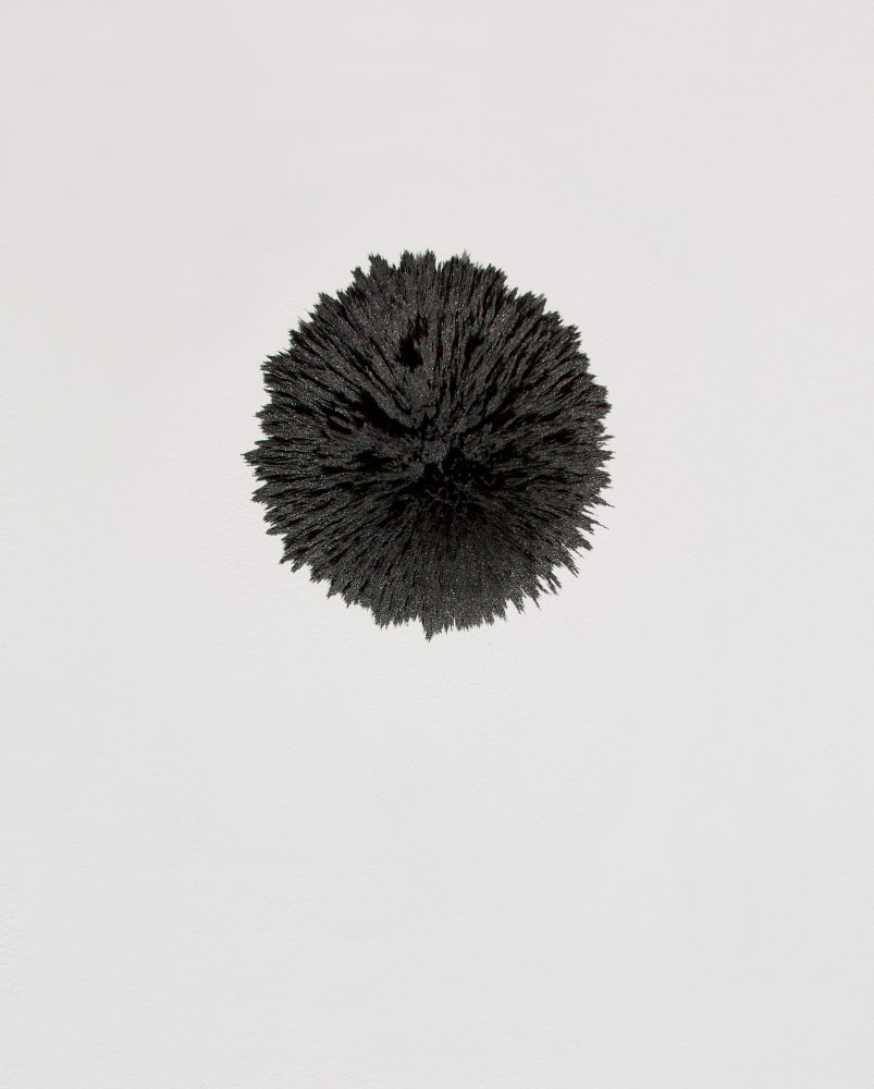 Energy Field, 2009
Fiberglass, magnet and rust
18 1/2" x 23"