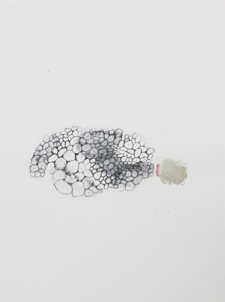 Epidermis, 2016
Watercolor, graphite & silver powder on paper
18 3/4" x 15"  