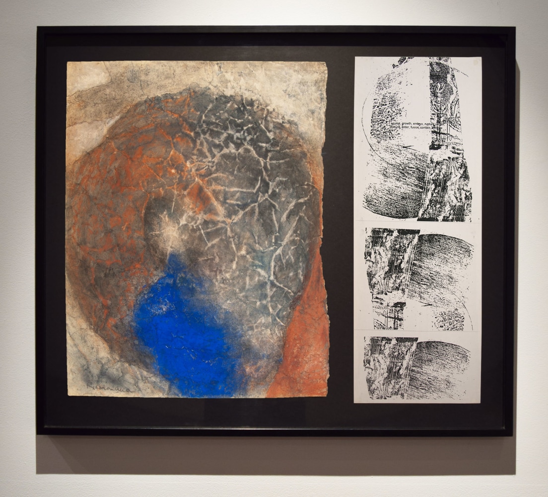 Rummana Hussain
Dissemination, 1993
Indigo and earth pigment, ink, charcoal and print on paper
67.95 x 80 cm