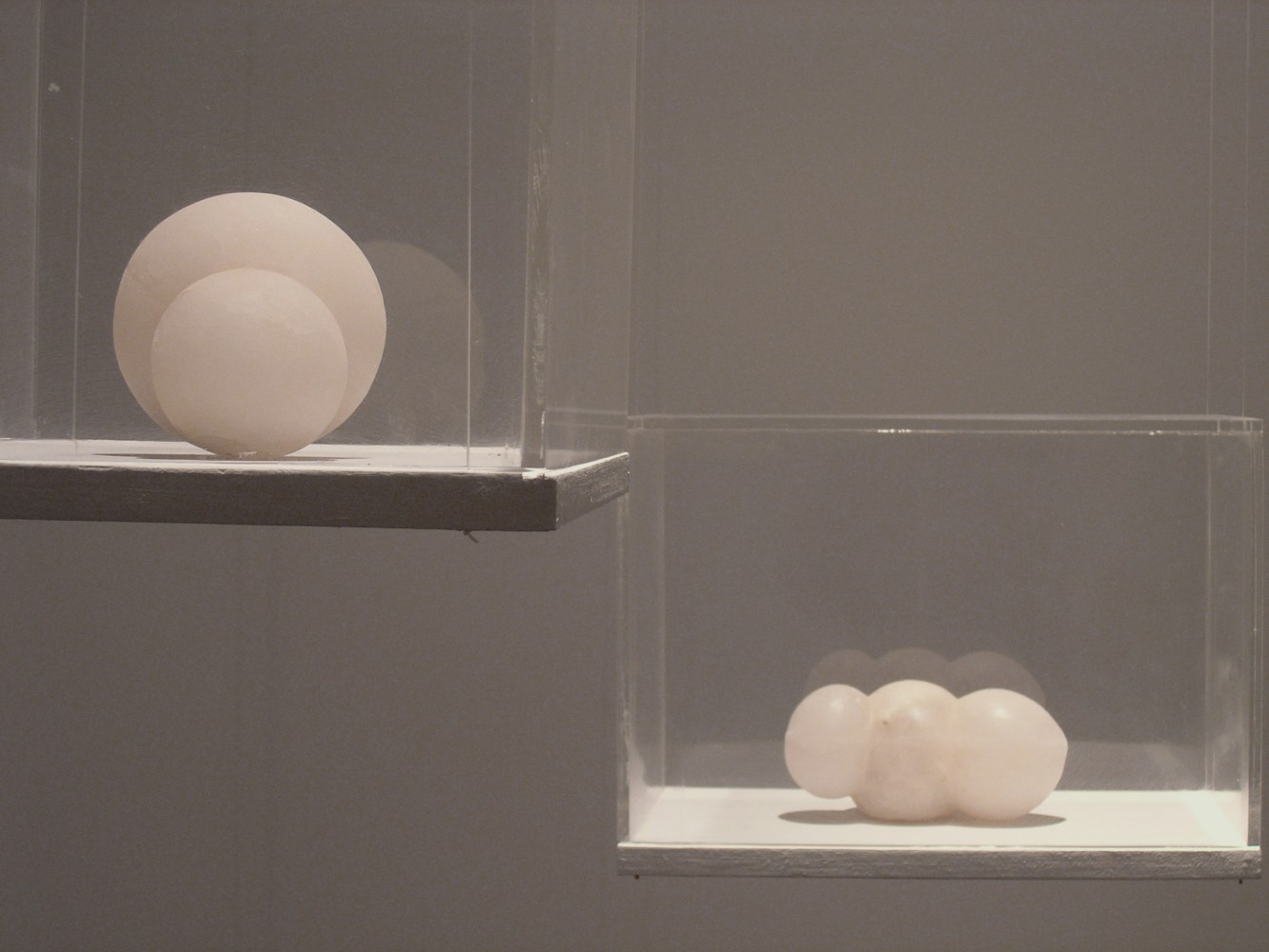 Emerging Angels, 2004