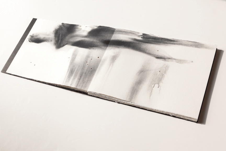 Varsha,&amp;nbsp;2012
Zinc-alloy inlaid with silver, etching, woodcut, silkscreen, laser cut and pigment
11&amp;quot; x 15&amp;quot; x 3&amp;quot; (extends to approximately 40 ft long)
&amp;nbsp;