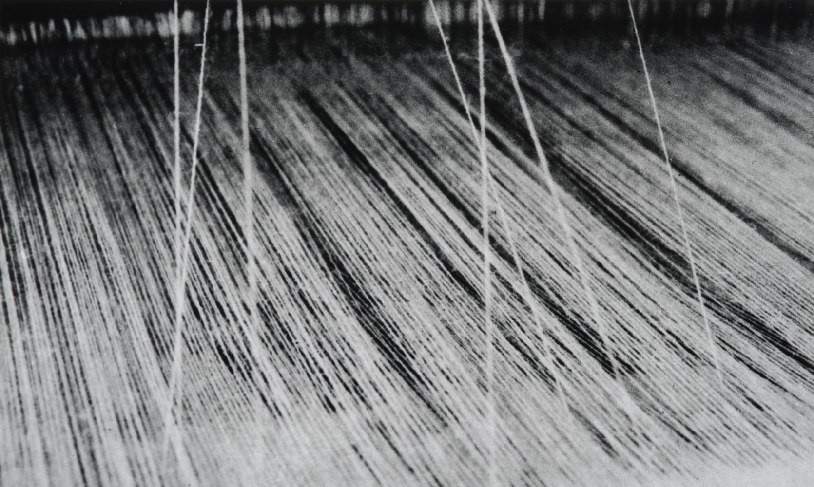 Untitled, ca. 1970s
Black and white photograph
9” x 15”
TG 1132