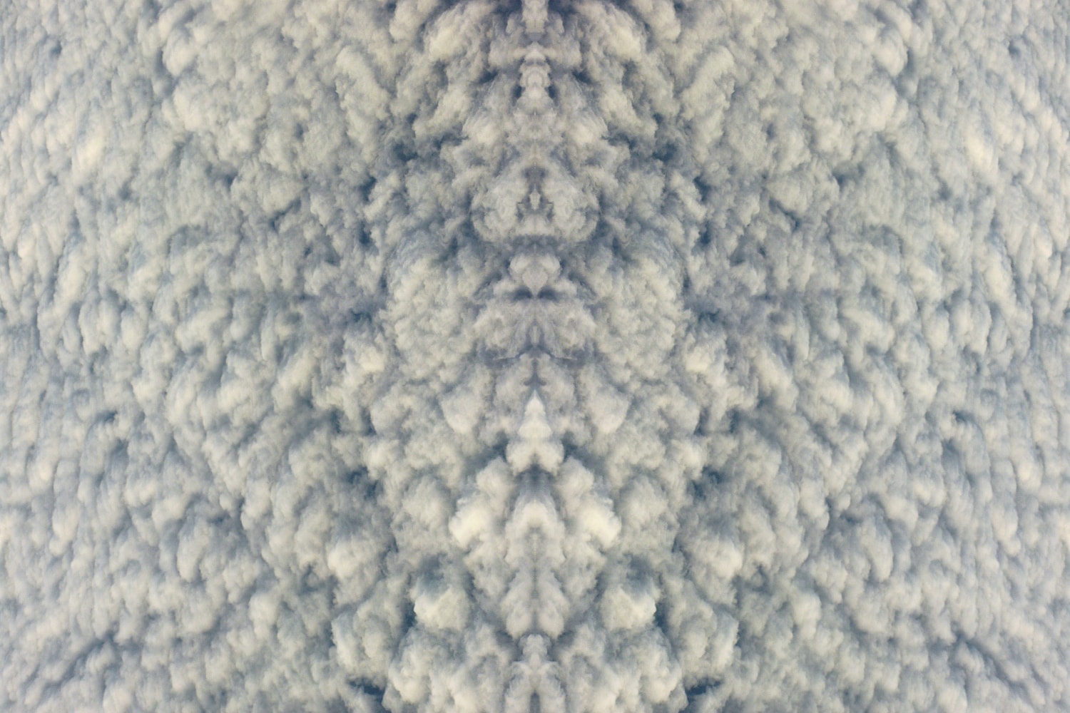 Divine1849, 2007
C Print
15 3/4" x 23 1/2"