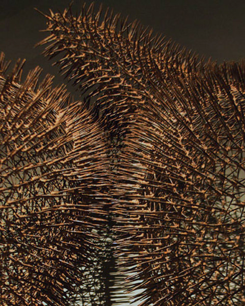 Oomph (Detail)