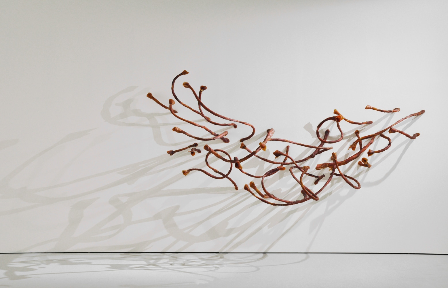 Heliotropes, 2005-11

Vulcanized Latex, cotton thread and steel

85&amp;quot; x 168&amp;quot;