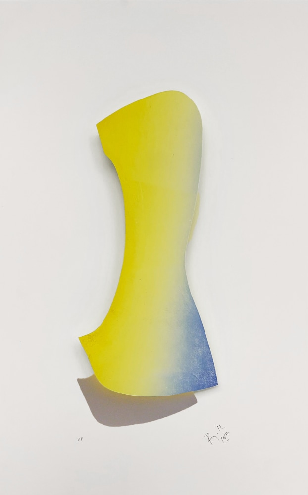 Solo,&amp;nbsp;2021
Three-dimensional woodcut print and acrylic
20&amp;Prime; x 12 3/4 | Framed 20 1/2&amp;Prime; x 13 1/2&amp;Prime;
Edition of 3