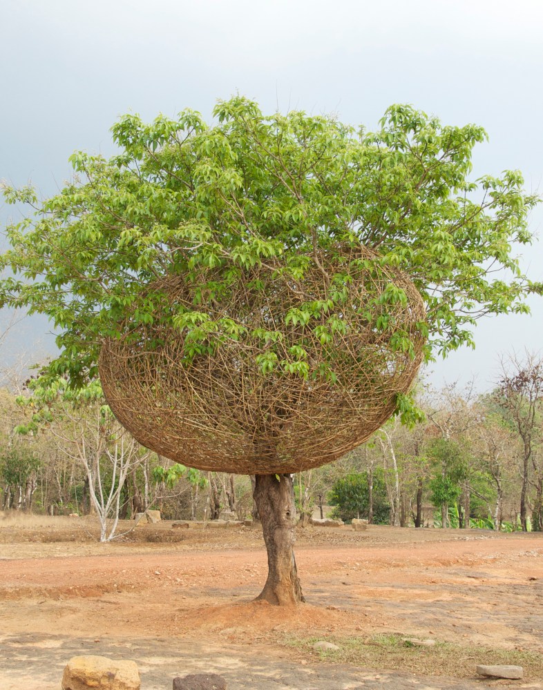 Srinivasa Prasad
Untitled, 2013
Photograph, 14" x 11"