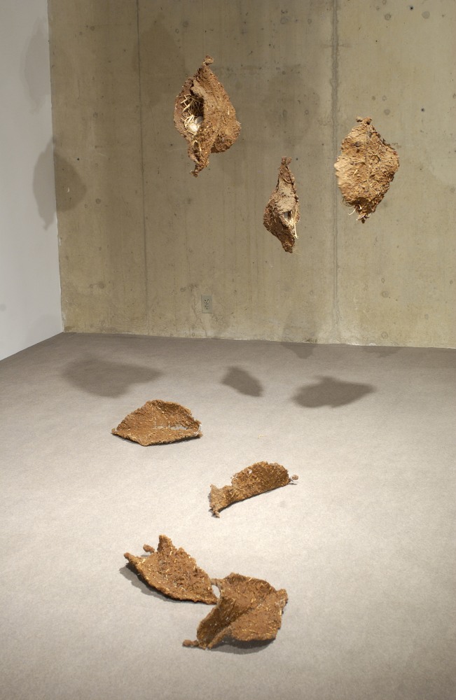 Ranjani Shettar
Container and Content 3,&amp;nbsp;2000/2005
Steel mesh, silicon, epoxy
29&amp;Prime; x 41&amp;Prime; x 72&amp;Prime;