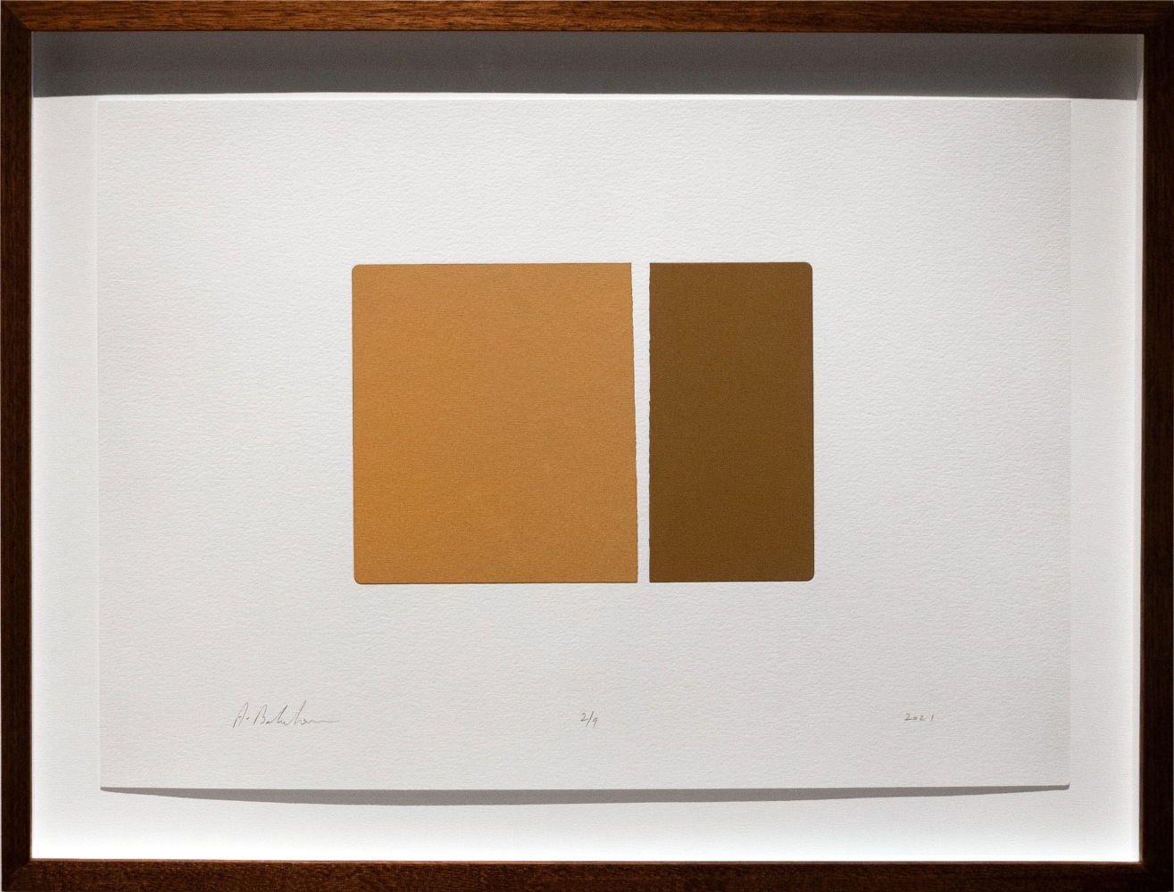 Alwar Balasubramaniam
L.S. I, 2021
Silkscreened earth
Edition of 9
Paper 11.75” x 16.5” | Image 5.5” x 7.5”
Framed 15” x 19.5”
TG# 4377