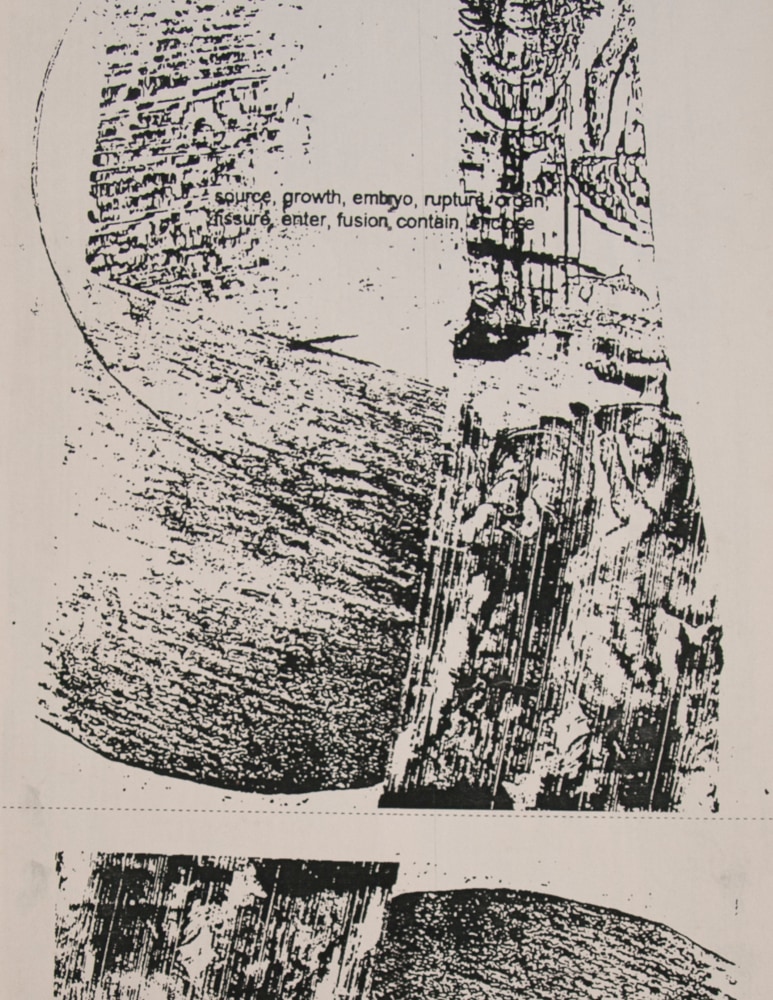 Dissemination, 1993 (detail)