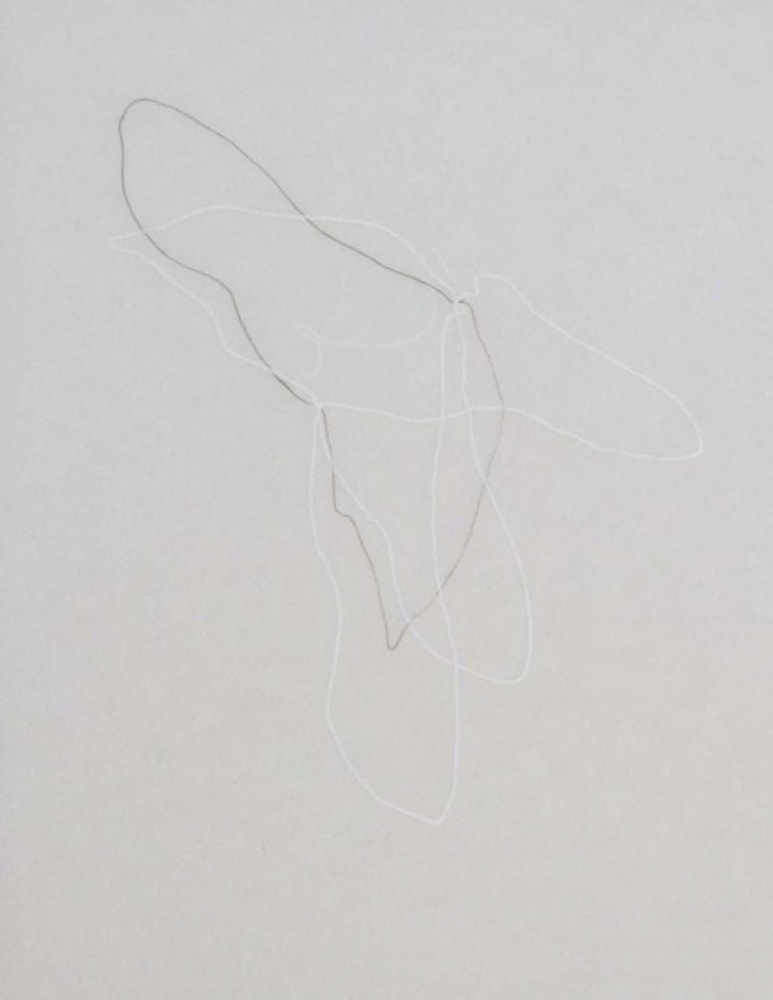 Shadow Lines (detail)