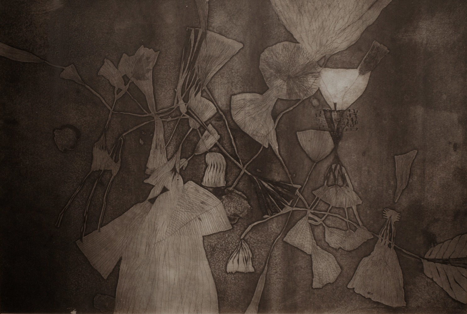 Untitled | ca. 1965
Aquatint
13" x 19" | Framed: 17.75" x 23.5"
TG 2794