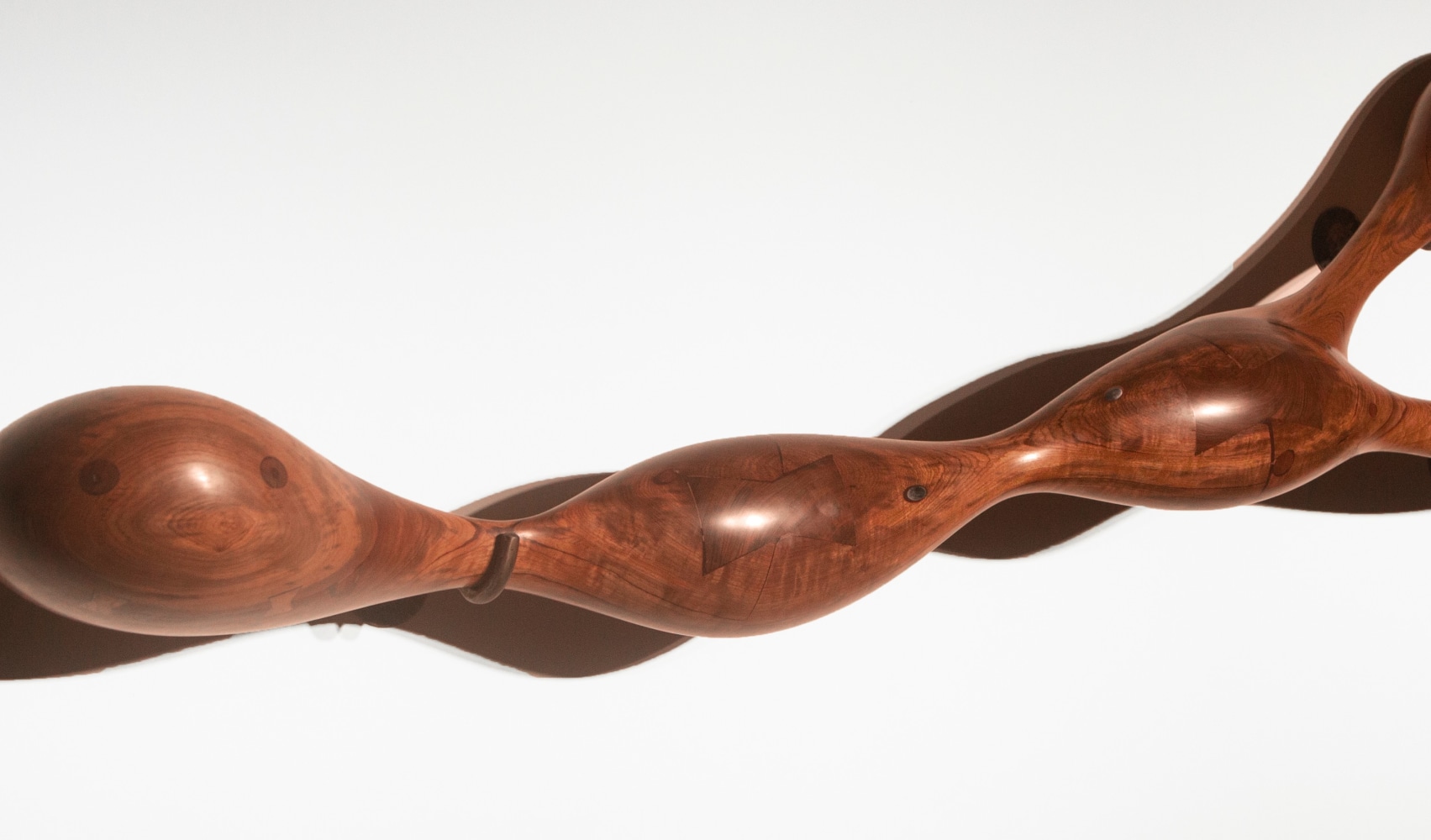 Ranjani Shettar
Adagio&amp;nbsp;| 2021 (Detail)