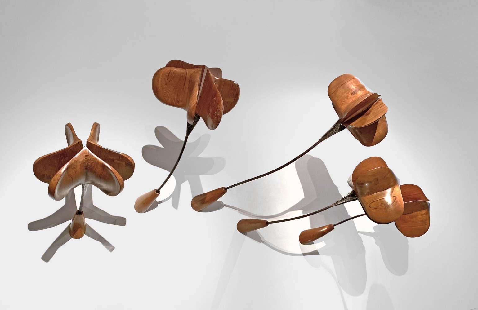 Midmorning blooms, 2020 
Teak wood and steel
89″ x 113″ x 50″
TG# 4200