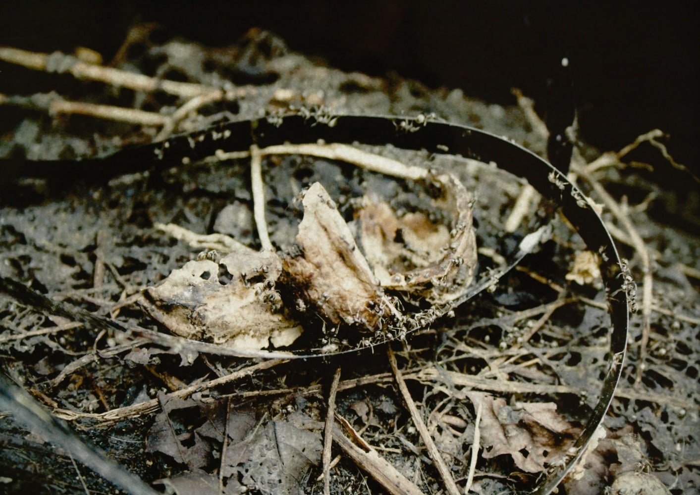 Priya in Process 2,&amp;nbsp;2008

Lightbox

12 3/4&amp;quot; x 16 3/4&amp;quot;