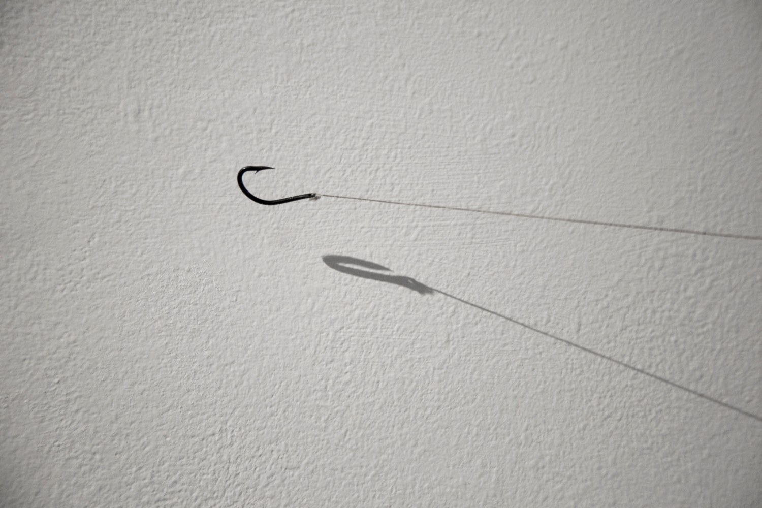 Link, 2009